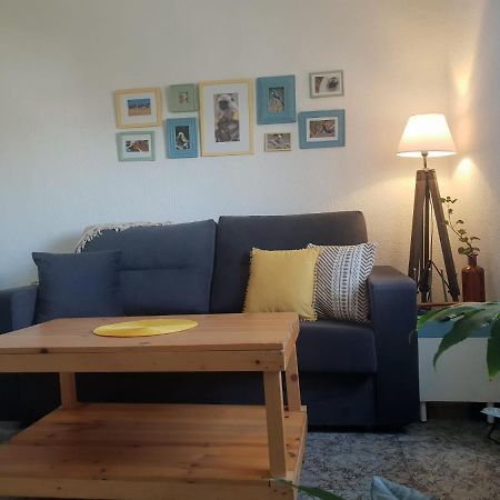 Bonito Y Coqueto Apartamento قرطبة المظهر الخارجي الصورة