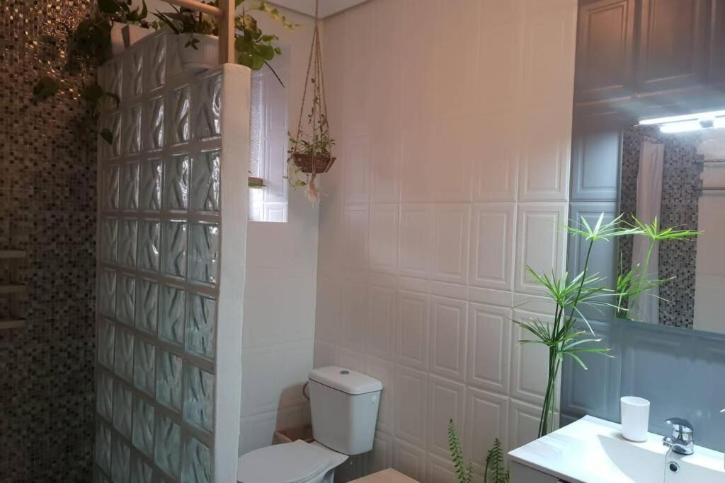 Bonito Y Coqueto Apartamento قرطبة المظهر الخارجي الصورة