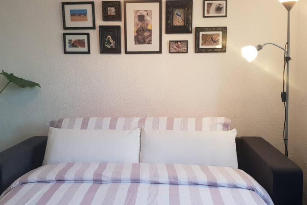 Bonito Y Coqueto Apartamento قرطبة المظهر الخارجي الصورة
