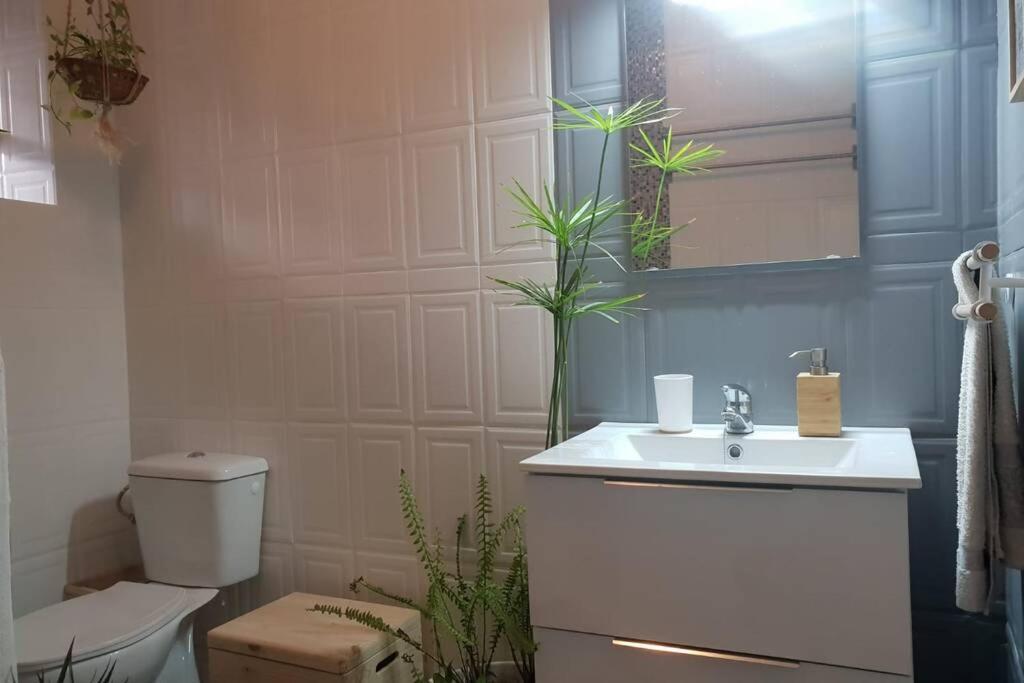 Bonito Y Coqueto Apartamento قرطبة المظهر الخارجي الصورة